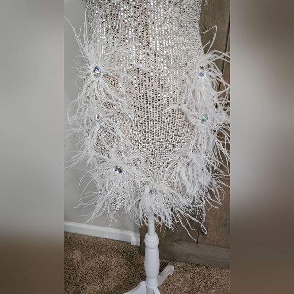 BELLA BARNETT Sequin/beaded Feather Fringe Mini Dress. Silver. Size XS NWT - Picture 12 of 16